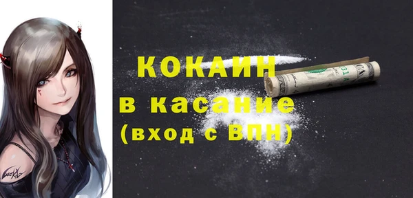 PSILOCYBIN Дмитриев