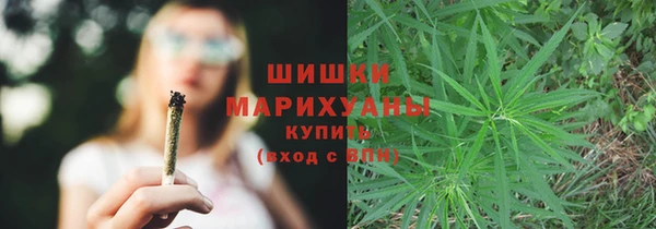 PSILOCYBIN Дмитриев
