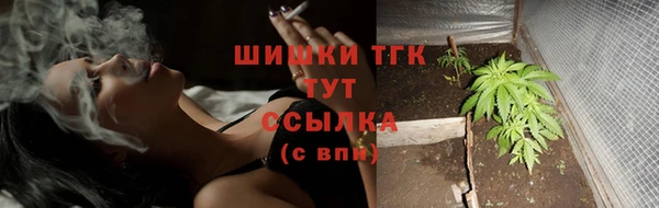 mdpv Елизово