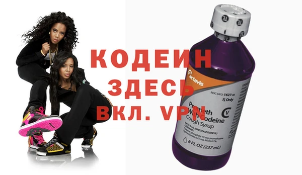 молекула духа Ельня