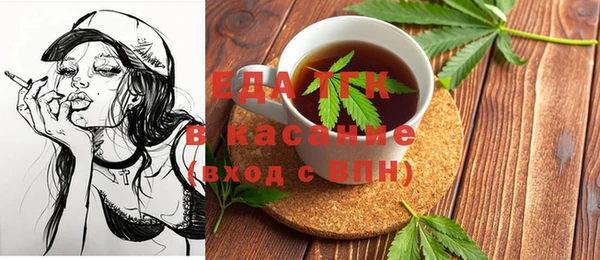 молекула духа Ельня