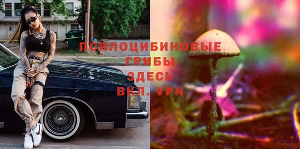 PSILOCYBIN Дмитриев
