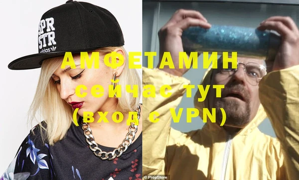 молекула духа Ельня