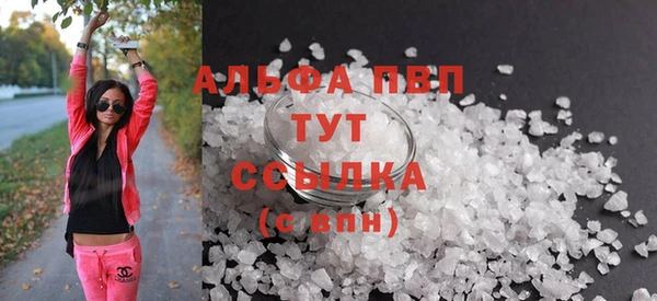 молекула духа Ельня