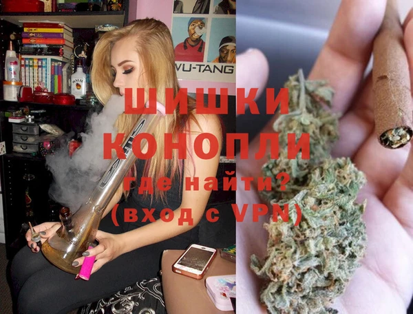 молекула духа Ельня