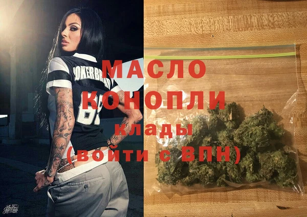 молекула духа Ельня