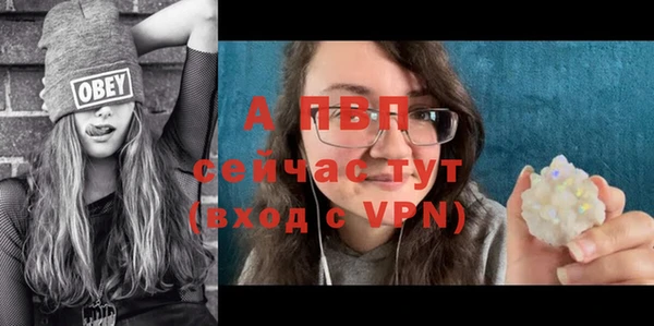 a pvp Дмитровск
