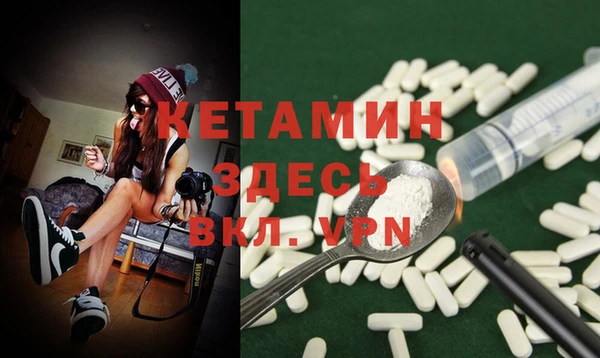 молекула духа Ельня