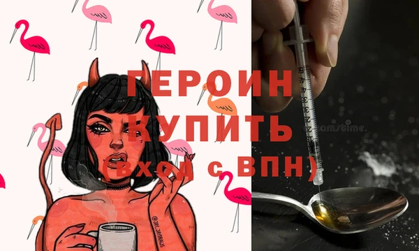 молекула духа Ельня