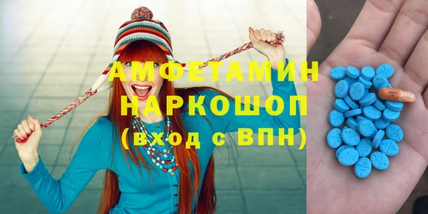молекула духа Ельня
