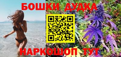 прущие крисы Кандалакша