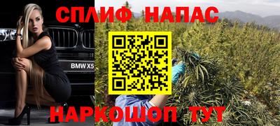 ПСИЛОЦИБИНОВЫЕ ГРИБЫ Камышлов