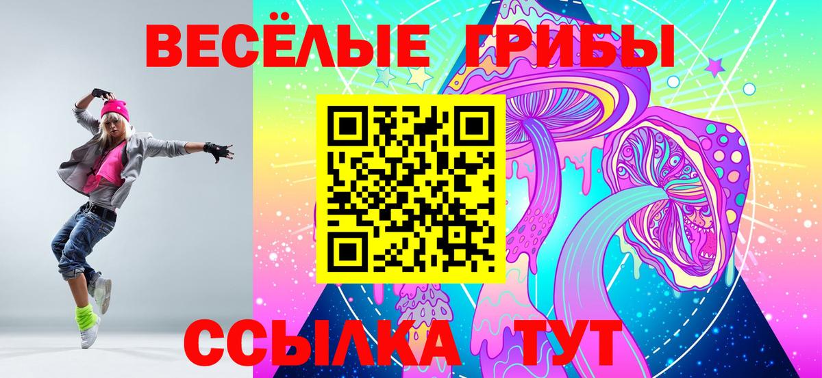 Касимов  Галлюциногенные грибы ЛСД  Вход с VPN 
